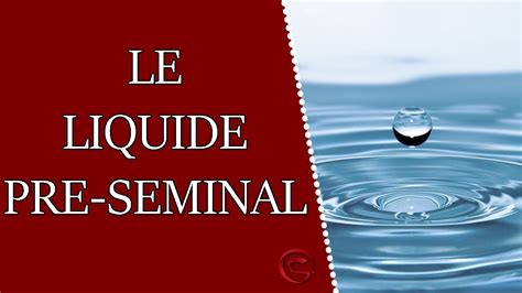 liquide seminal|Liquide séminal, liquide pré